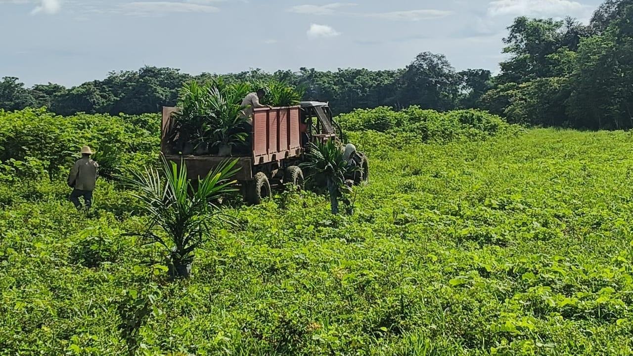 Inversión en el campo